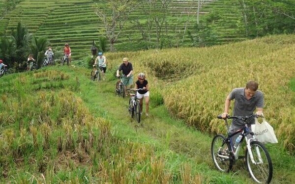 Get Closer to the World Cultural Heritage with Borobudur Cycling Tour