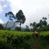 Mount Sindoro Sunrise Trekking (2 Days 1 Night, No Camping)